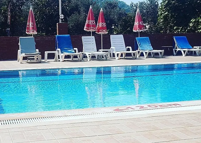 Hayat